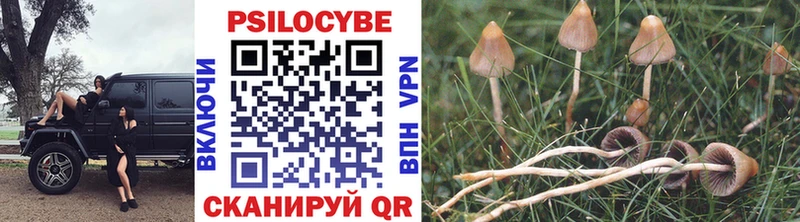 mega ONION  Новозыбков  Галлюциногенные грибы Cubensis  цены наркотик 